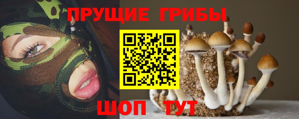 Галлюциногенные грибы ЛСД Йошкар-Ола