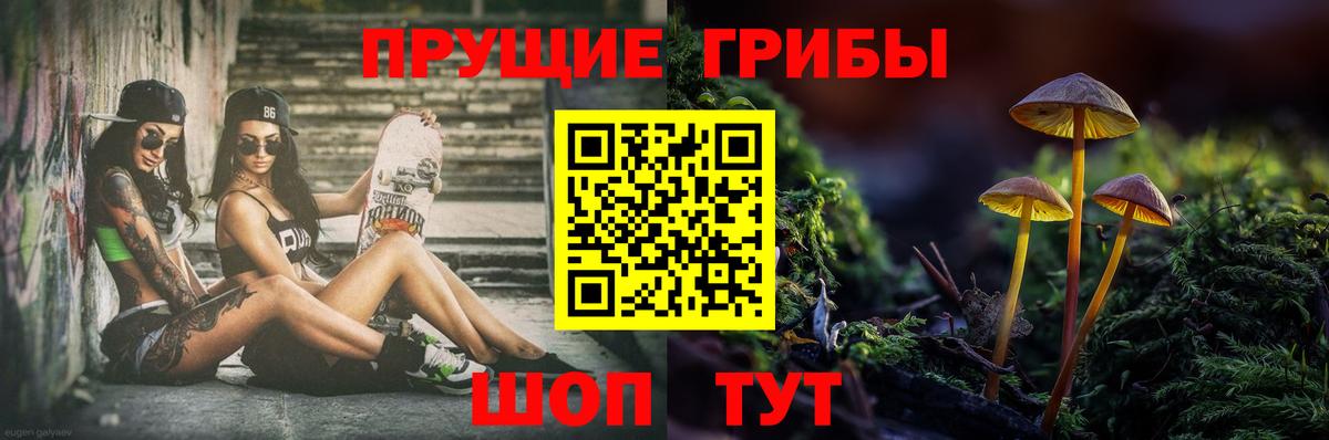 Йошкар-Ола  Псилоцибиновые грибы Cubensis  Вход с VPN  Галлюциногенные грибы Cubensis 